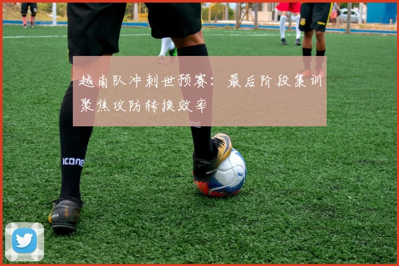 越南队冲刺世预赛：最后阶段集训聚焦攻防转换效率
