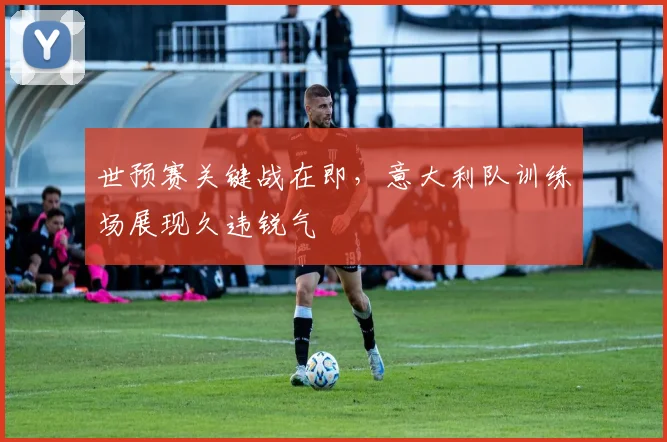 世预赛关键战在即，意大利队训练场展现久违锐气
