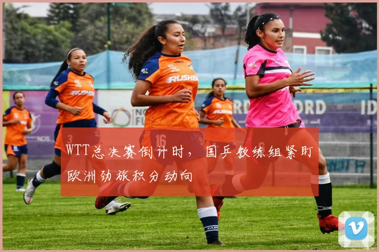 WTT总决赛倒计时，国乒教练组紧盯欧洲劲旅积分动向