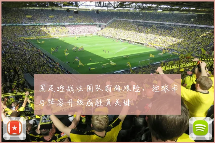 国足迎战法国队前路艰险，控球率与阵容升级成胜负关键