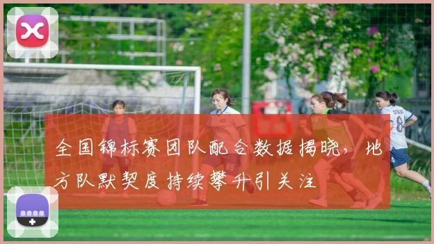 全国锦标赛团队配合数据揭晓，地方队默契度持续攀升引关注